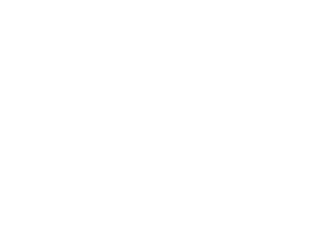 cropped-Fierce_KO_Logo_150ppi-3.png Company Logo, DJ company in Vancouver